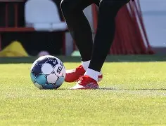 九游官网入口-关于本菲卡训练开放日，今晨手感冰凉引欢呼，法国杯在即，赛季目标并未改变的信息